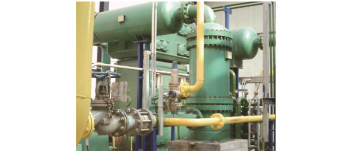 荣耀体育在线登录,